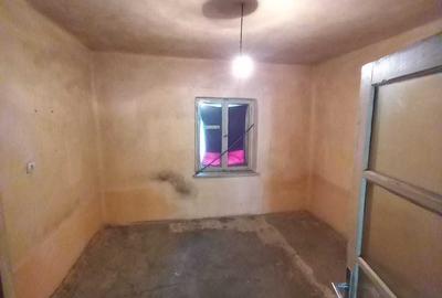 Casă cu 2 camere în Iratoșu - 1