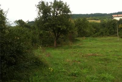 Teren de 14000 mp, în Central - 2