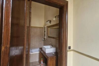 Apartament cu 2 camere semidecomandat în Iosefin - 3