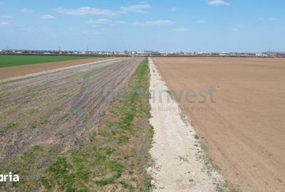 Teren de 500 mp, în Sântandrei - 4