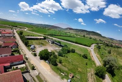 Teren de 7929 mp, în Daneș - 5