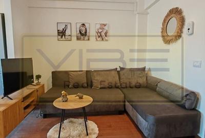 Apartament cu 2 camere nedecomandat, mobilat în Vișani - 16
