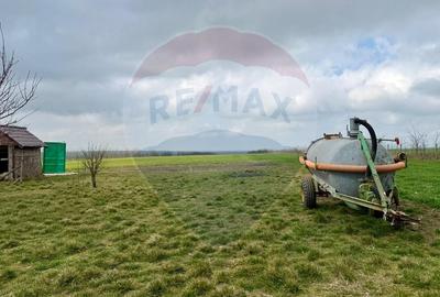 Teren agricol extravilan de 60000 mp, în Săcele - 9