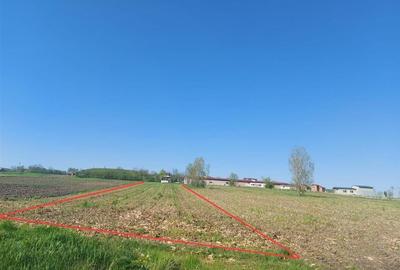 Teren Construcții intravilan de 4367 mp, în Hidișelu de Sus - 2