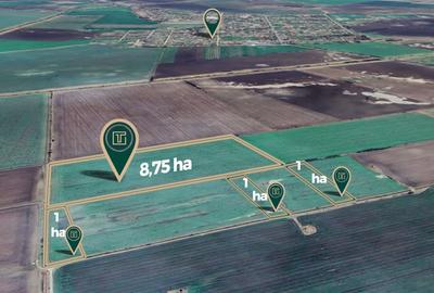 Teren agricol de 117500 mp, în Turnu - 1