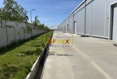 Spațiu industrial, de 3,000 mp, în Cernica