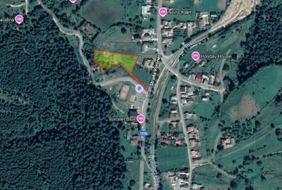 Casă individuală cu 6 camere cu Teren 3850 Mp în Voroneț