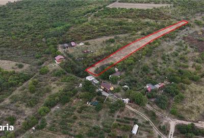 Teren de 2746 mp, în Girișu de Criș - 5