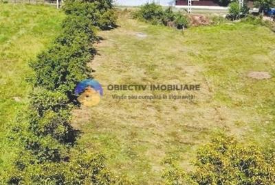 Teren intravilan de 2510 mp, în Borlești
