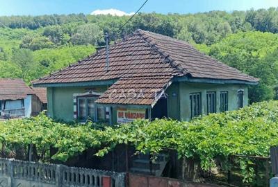 Casă individuală cu 3 camere cu Teren 913 Mp în Central - 1