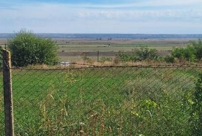 Casă cu Teren 1600 Mp în Frumușița