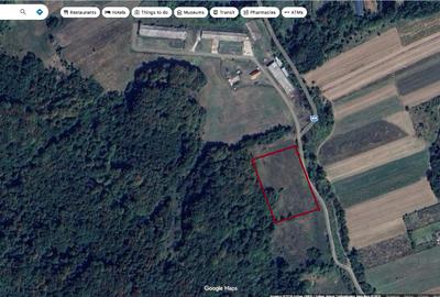 Teren agricol extravilan de 7043 mp, în Mihăești
