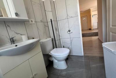 Apartament cu 2 camere decomandat în Buziașului - 10