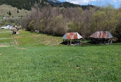 Casă cu 4 camere în Rusca
