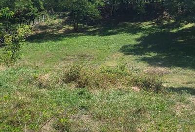Teren de 3231 mp, în Milcoiu - 3