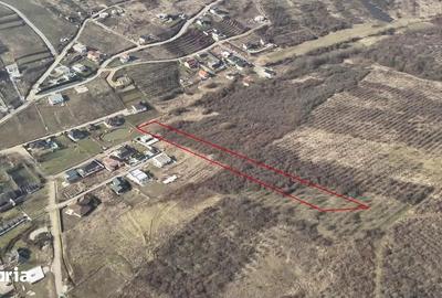 Teren de 7900 mp, în Iorga - 2