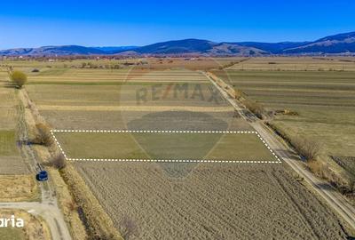 Teren de 3700 mp, în Prejmer - 15