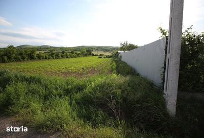 Teren de 834 mp, în Sărata - 7
