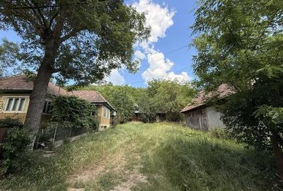 Casă cu 2 camere în Căianu Mare