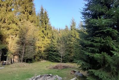 Teren de 1600 mp, în Arieșeni