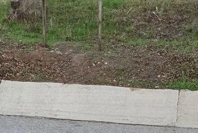 Teren de 5000 mp, în Ghercești - 9
