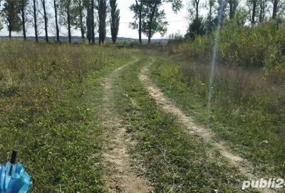 Teren de 1082 mp, în Siliștea Snagovului - 2