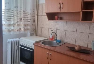 Garsonieră semidecomandată în Valea Rosie - 2