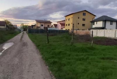 Spațiu comercial, în Domnești - 15