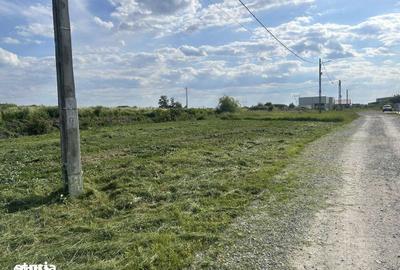 Teren de 500 mp, în Oșorhei - 2