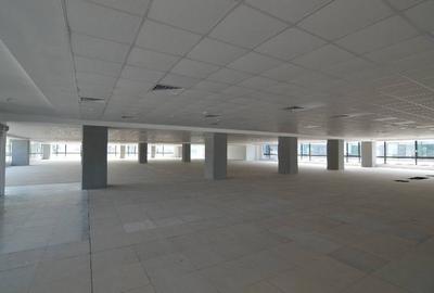 Birou, de 1,164 mp, în Grozăvești - 15