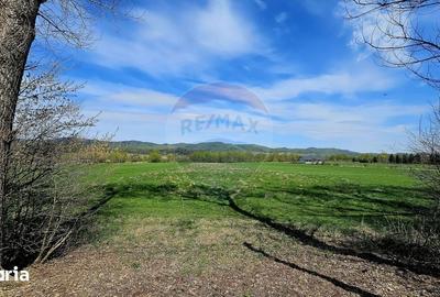 Teren de 10000 mp, în Vânători-Neamț - 8