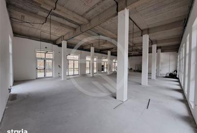 Spațiu comercial, de 300 mp, în Făget - 3