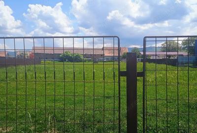 Teren de 4400 mp, în Cărpiniș - 4