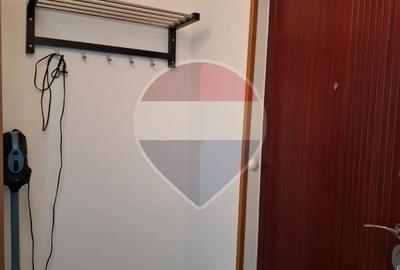 Garsonieră semidecomandată, mobilată în Banu Mărăcine - 10