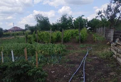Casă cu 4 camere cu Teren 1600 Mp în Central - 7