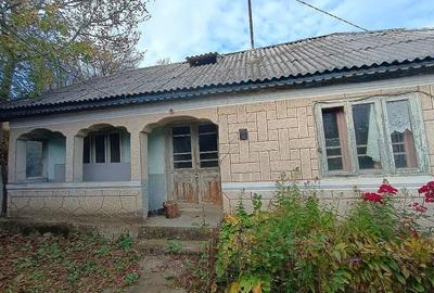 Casă cu Teren 2000 Mp în Verdea