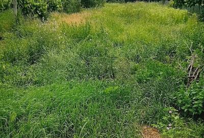 Casă cu Teren 713 Mp în Hăghig - 7