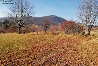 Teren de 5500 mp, în Alexandru cel Bun - 1