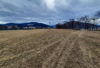 Teren Construcții intravilan de 2045 mp, în Alexandru cel Bun - 2