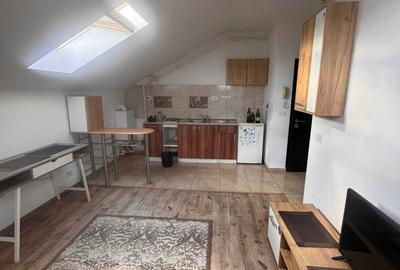 Apartament cu 2 camere semidecomandat în Roșu