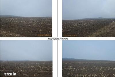 Teren de 2200 mp, în Călărași