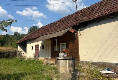 Casă cu Teren 3000 Mp în Groși - 3