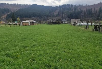 Teren de 7173 mp, în Vatra Moldoviței - 2