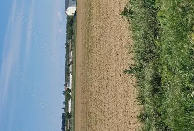 Teren în Siliștea Snagovului - 2