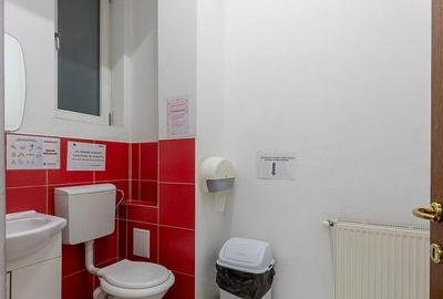 Spațiu comercial, de 100 mp, în Ferdinand - 11