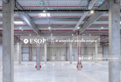 Spațiu industrial, de 4,000 mp, în Exterior Vest - 2