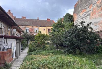 Garsonieră în Badea Cârțan - 10