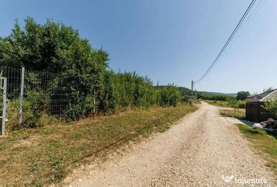 Teren în Ștefănești