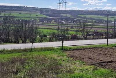 Teren intravilan de 1002 mp, în Căianu-Vamă - 2