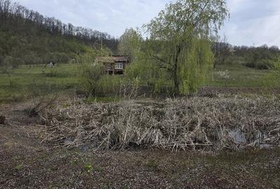 Teren de 11000 mp, în Ribița - 2
